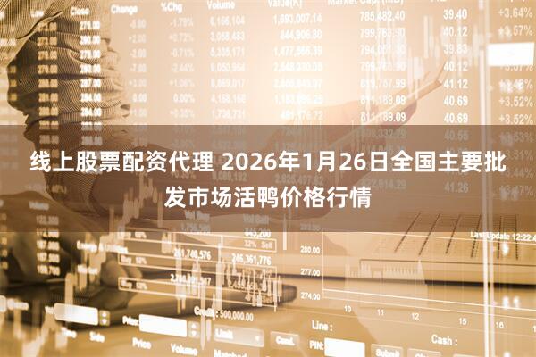 线上股票配资代理 2026年1月26日全国主要批发市场活鸭价格行情
