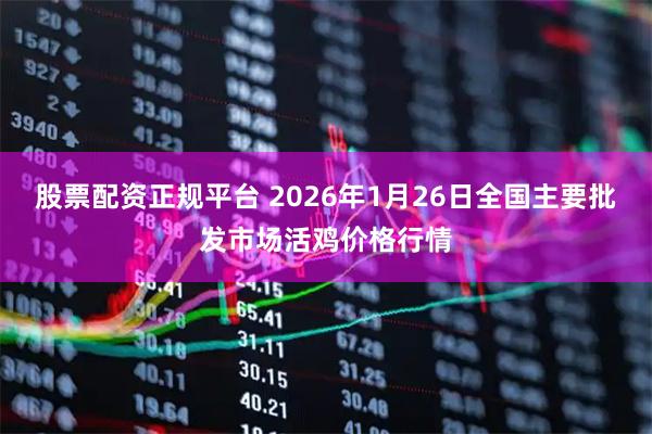 股票配资正规平台 2026年1月26日全国主要批发市场活鸡价格行情