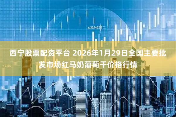 西宁股票配资平台 2026年1月29日全国主要批发市场红马奶葡萄干价格行情